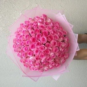 100 pink roses