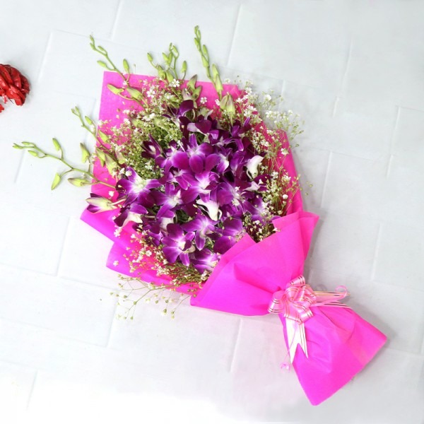 orchid  bloom