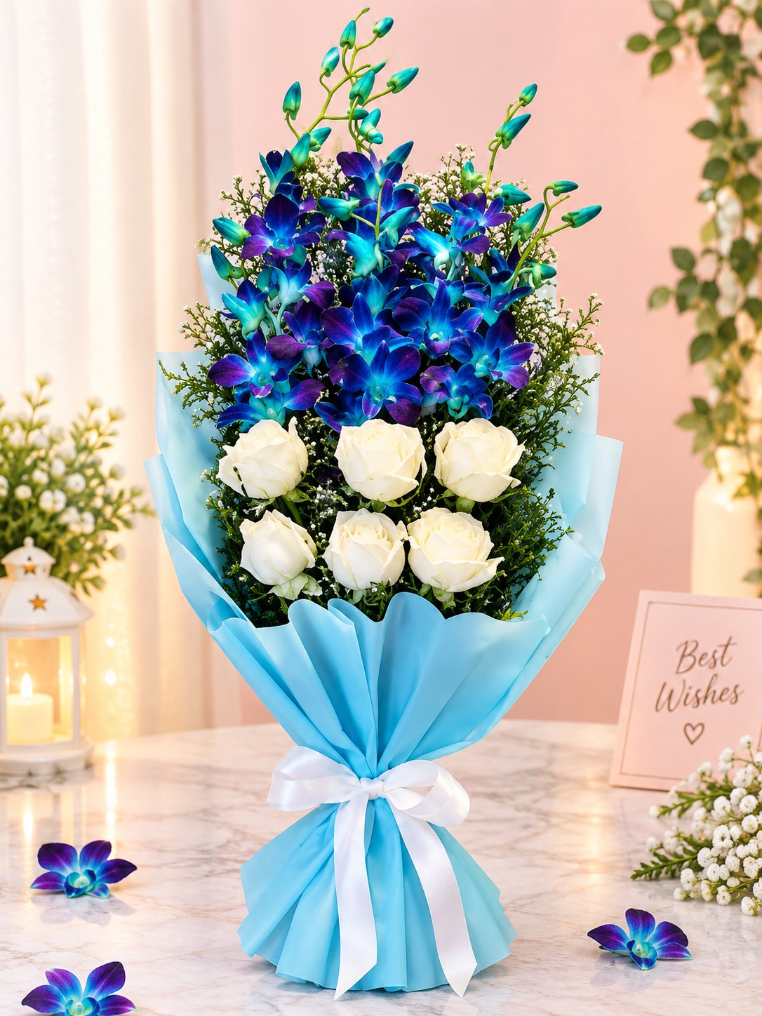 white n blue