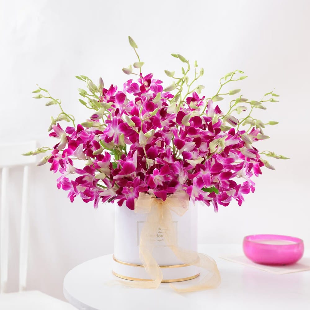 Orchid Box